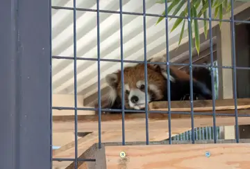 姬路市立動物園
