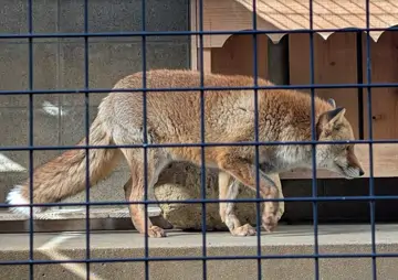 姬路市立動物園
