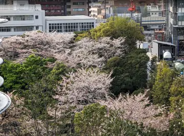 麻布台之丘