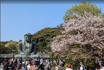 鎌倉大佛殿高德院