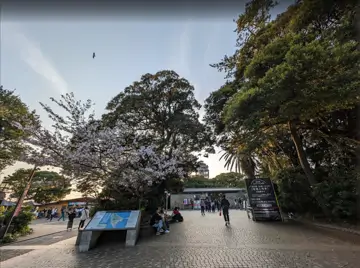 江之島