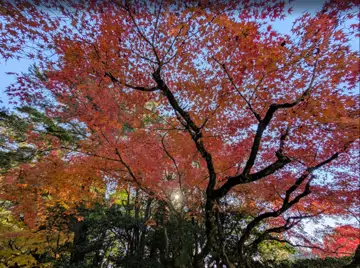 岡山後樂園