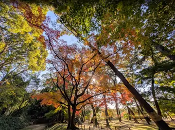 岡山後樂園