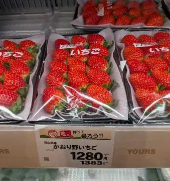 Sun Station Terrace 岡山
