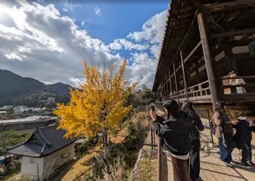 豐國神社 五重塔