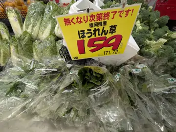 LOPIA 博多友都八喜店