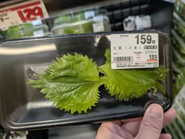 LOPIA 博多友都八喜店