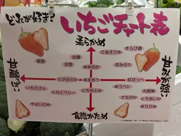 LOPIA 博多友都八喜店