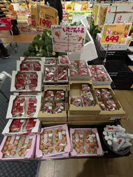 LOPIA 博多友都八喜店